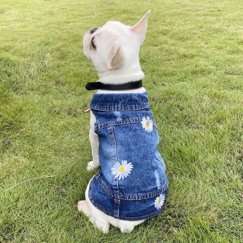 XS-2XL Denim Dog Clothes Pet Dog Coat For Small Dogs Jeans Jacket