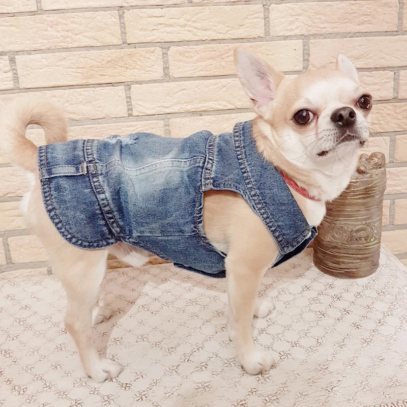 XS-2XL Denim Dog Clothes Pet Dog Coat For Small Dogs Jeans Jacket