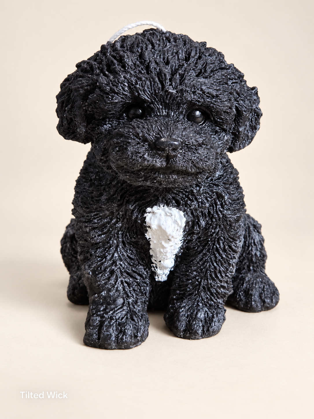 Custom Lola Puppy Candle in black with a white chest marking, inspired by a customer's dog